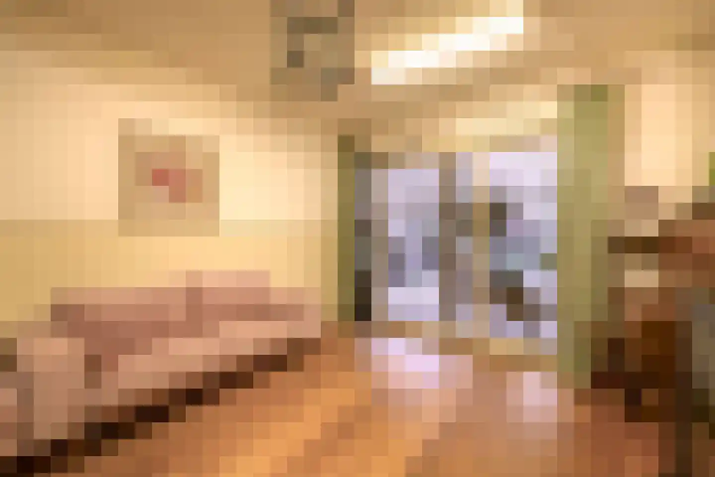 Marktstraat 9 Baarlo thumbnail 11