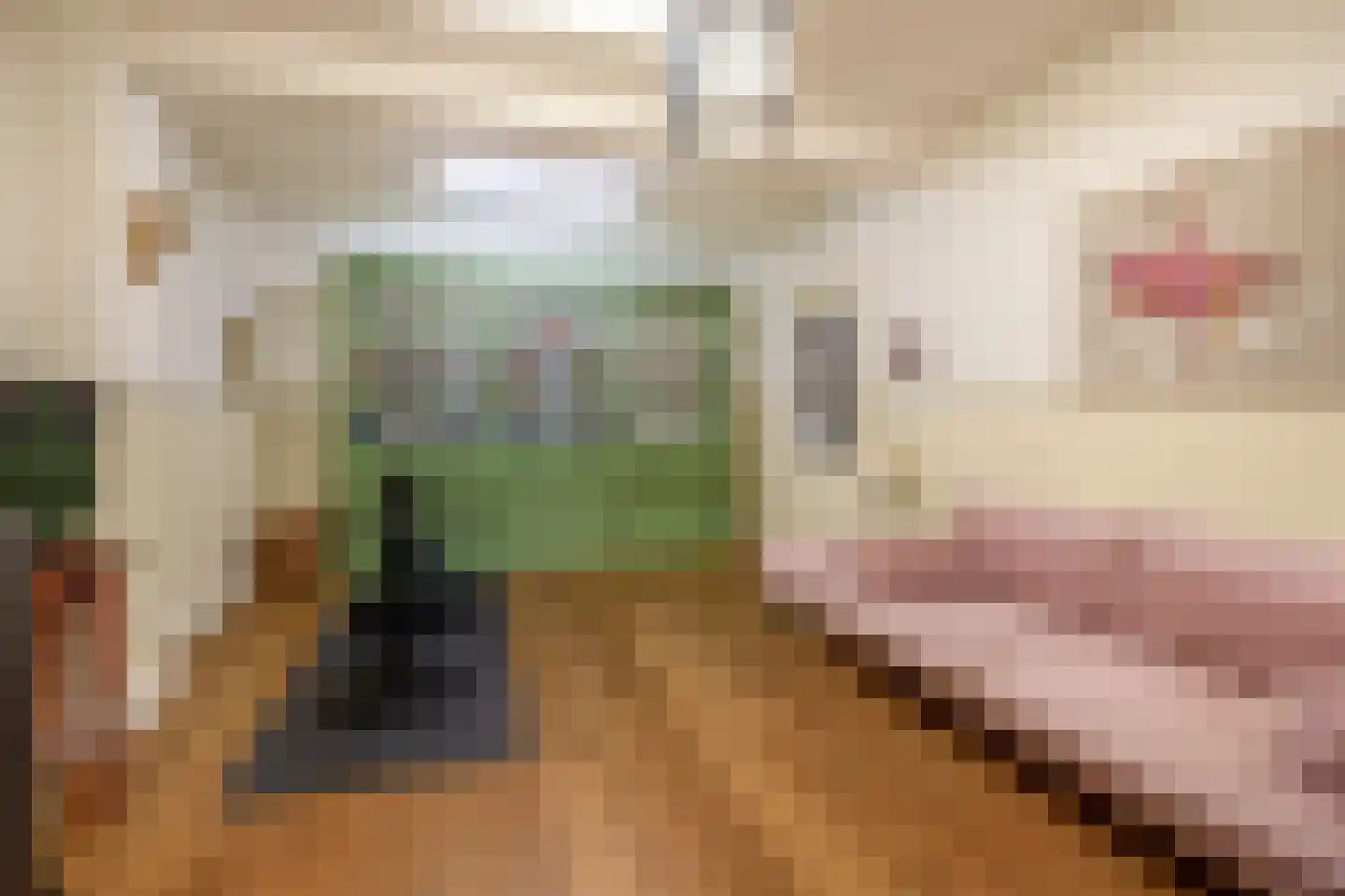 Marktstraat 9 Baarlo thumbnail 12