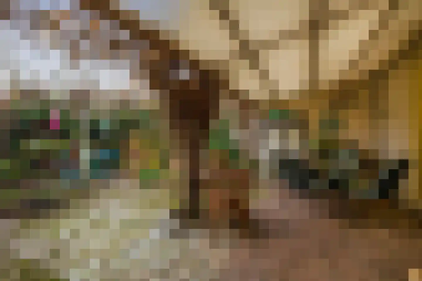 Marktstraat 9 Baarlo thumbnail 22