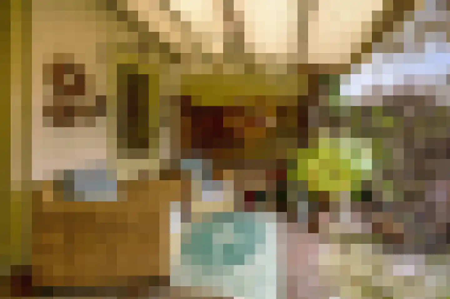 Marktstraat 9 Baarlo thumbnail 25
