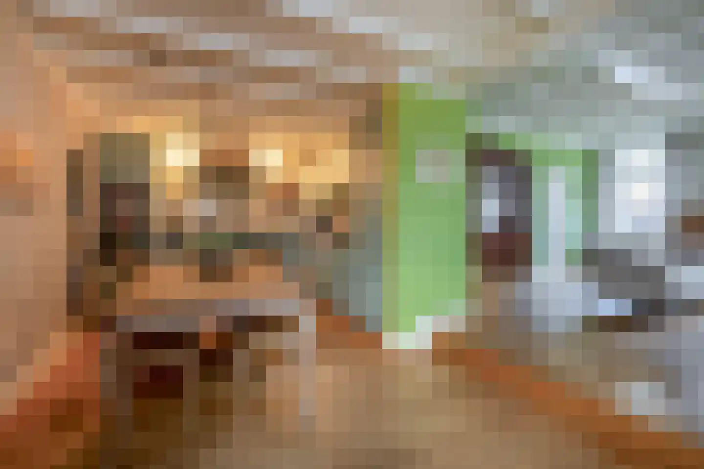 Marktstraat 9 Baarlo thumbnail 5
