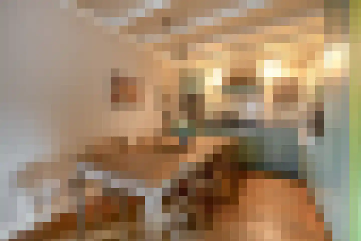 Marktstraat 9 Baarlo thumbnail 6