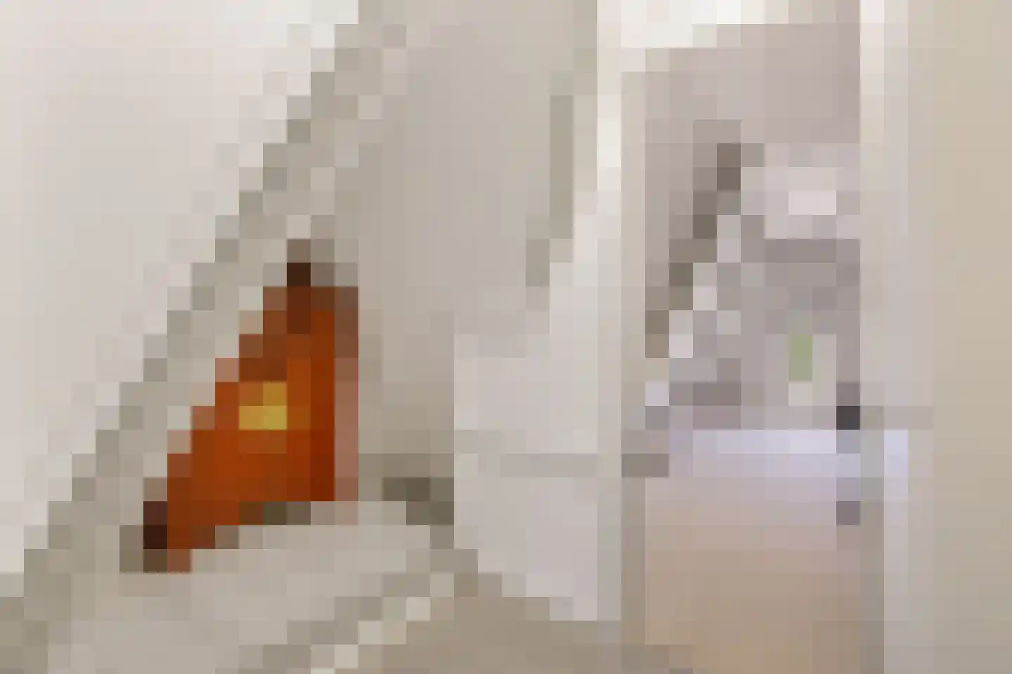 Marktstraat 9 Musselkanaal thumbnail 39