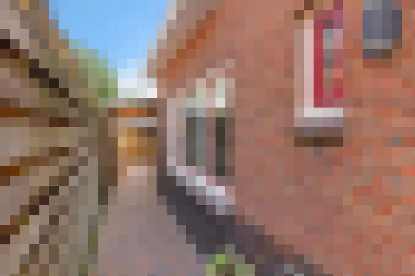 Marktstraat 9 Musselkanaal thumbnail 43