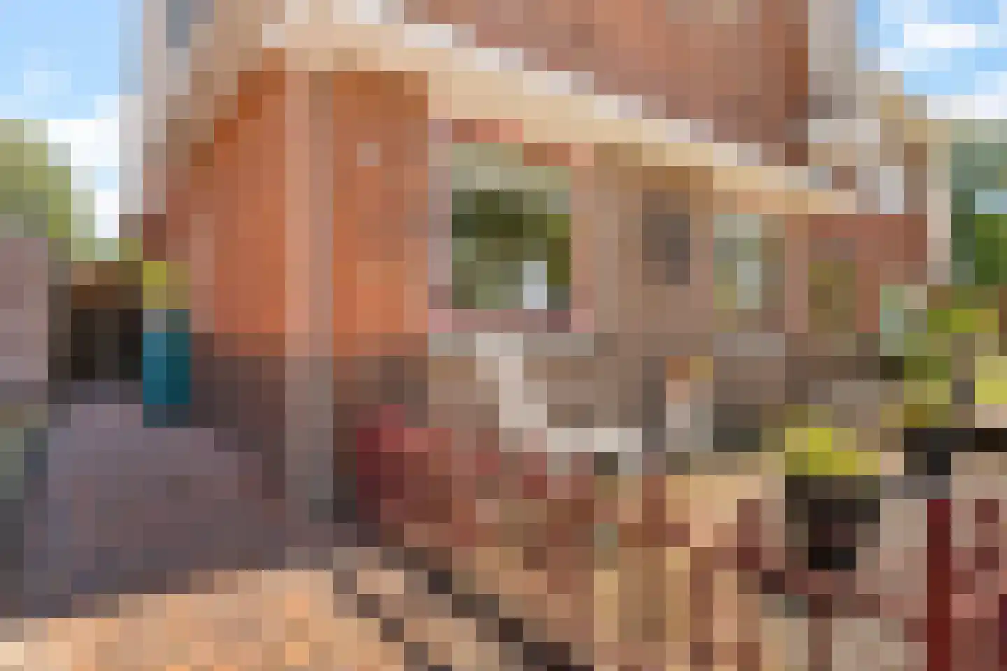 Marktstraat 9 Musselkanaal thumbnail 5