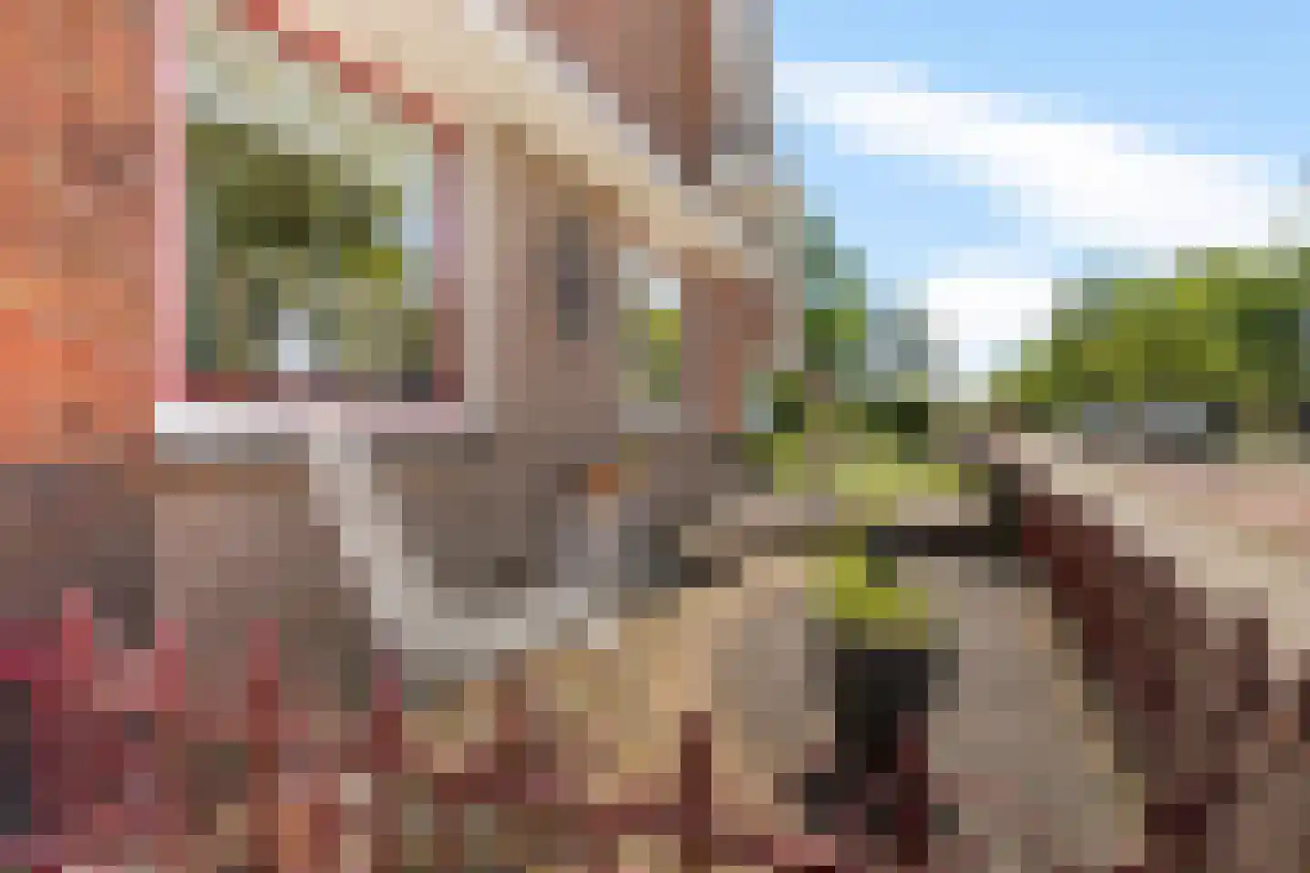 Marktstraat 9 Musselkanaal thumbnail 6