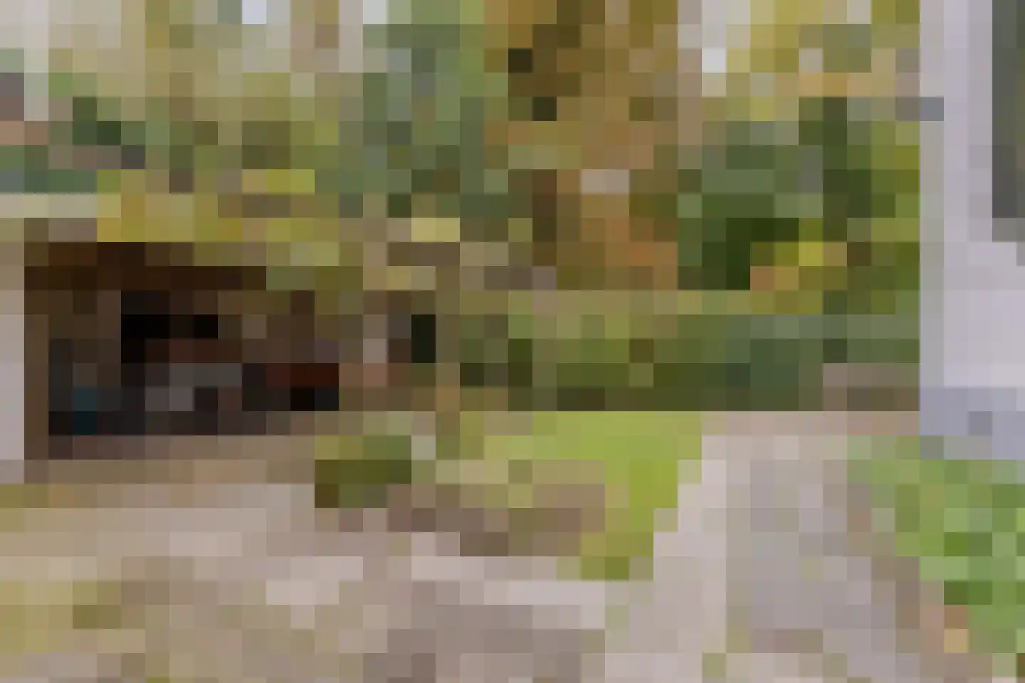 Marktstraat 91 Wormerveer thumbnail 65