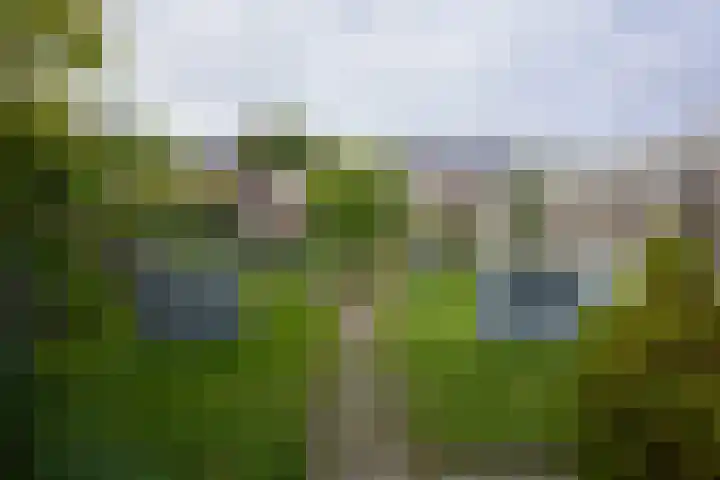 Marktstraat 95 Kerkrade thumbnail 30