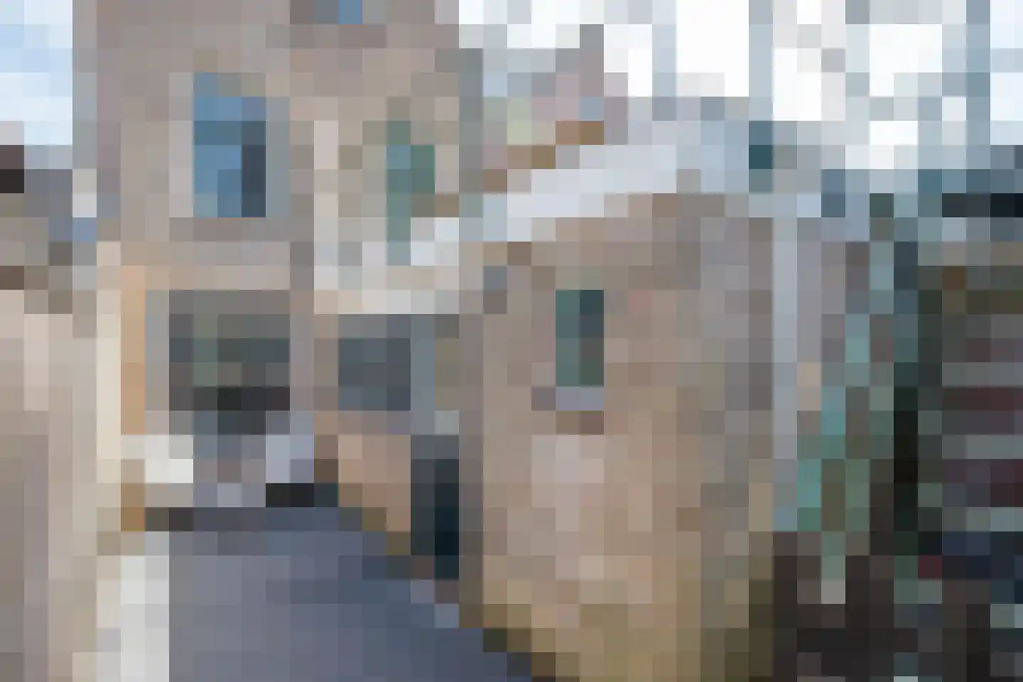 Marktveld 21 Haastrecht thumbnail 31