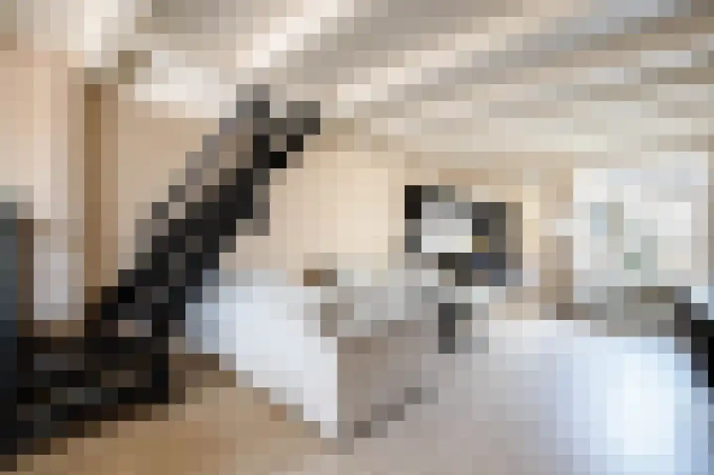 Marktveld 21 Haastrecht thumbnail 8