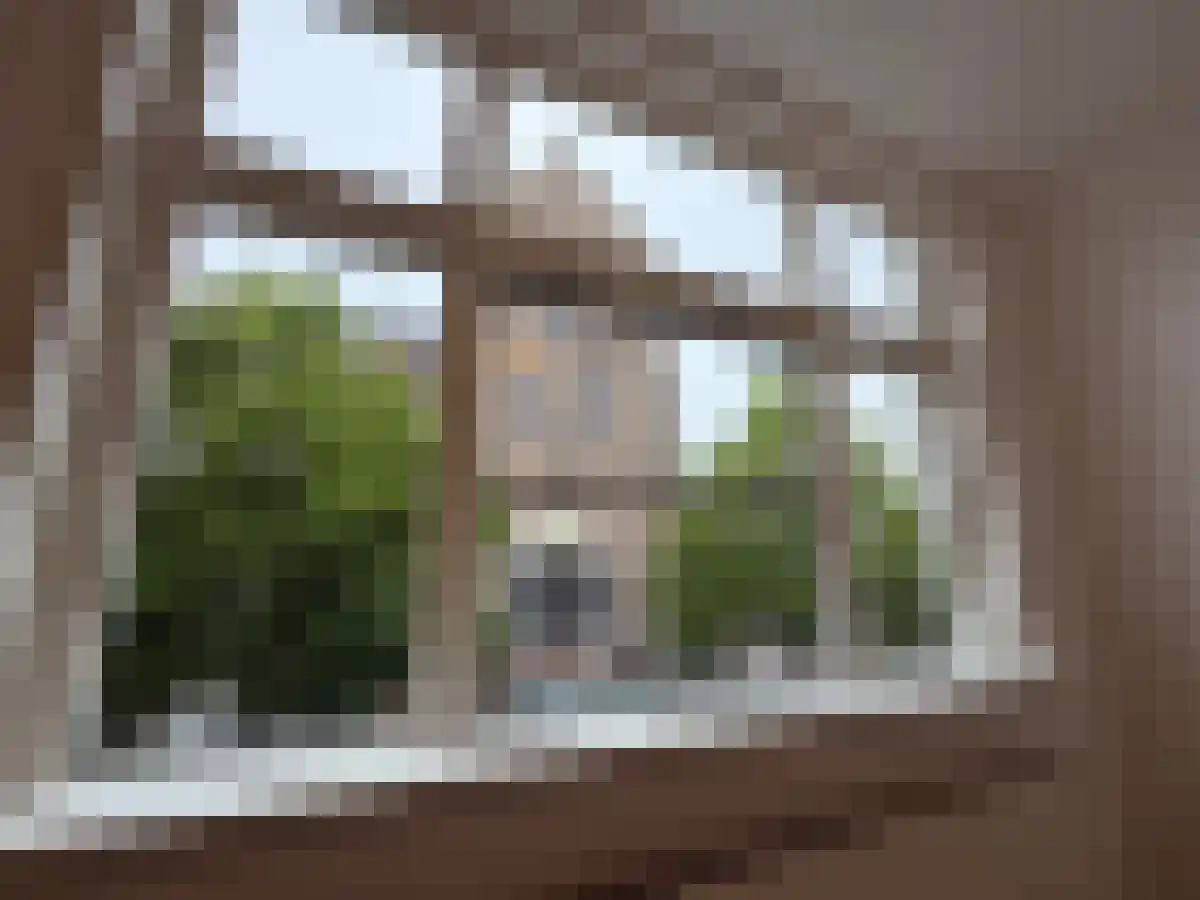 Marktveld 55 Vught thumbnail 4