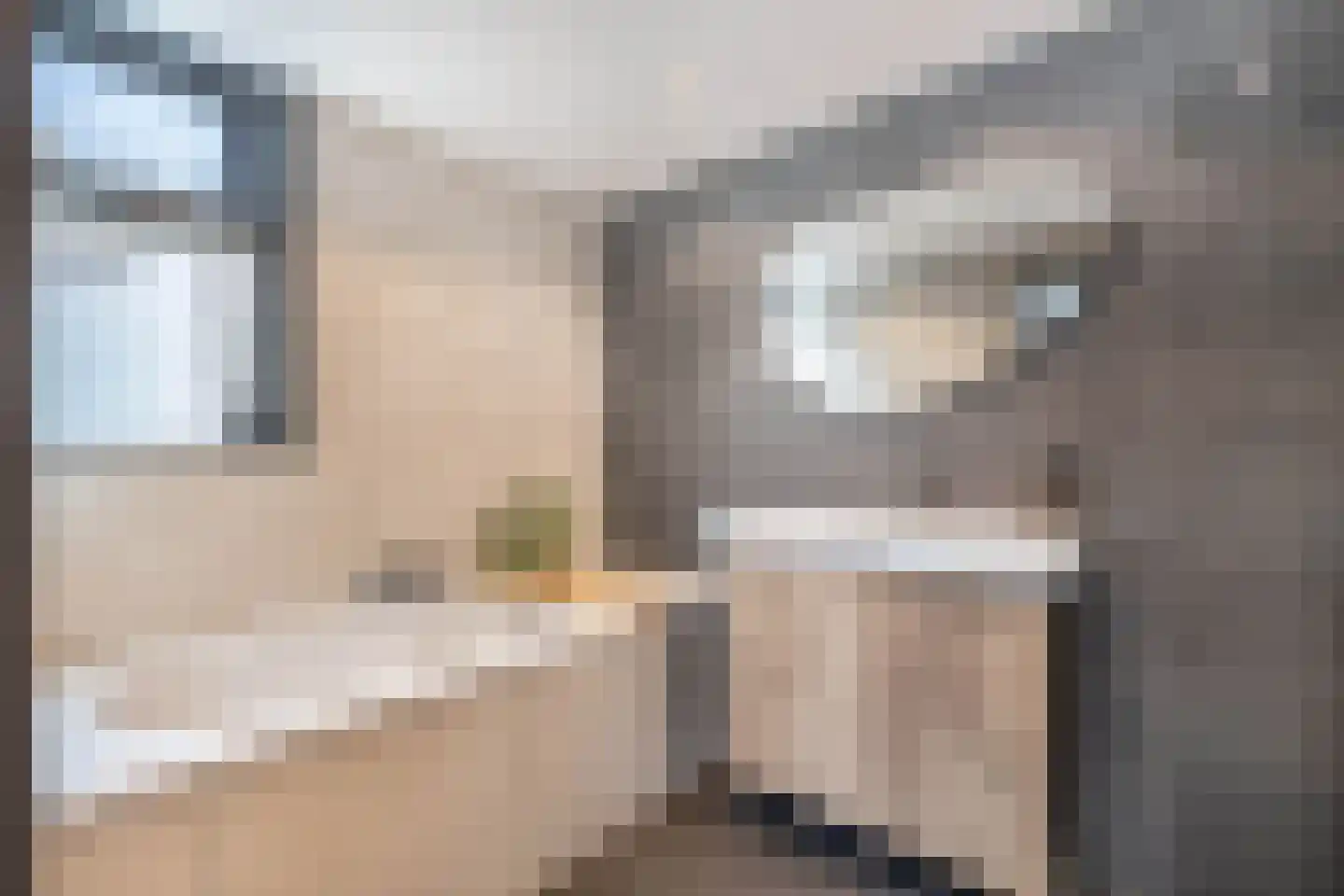 Marktweg 18 Oudeschoot thumbnail 10
