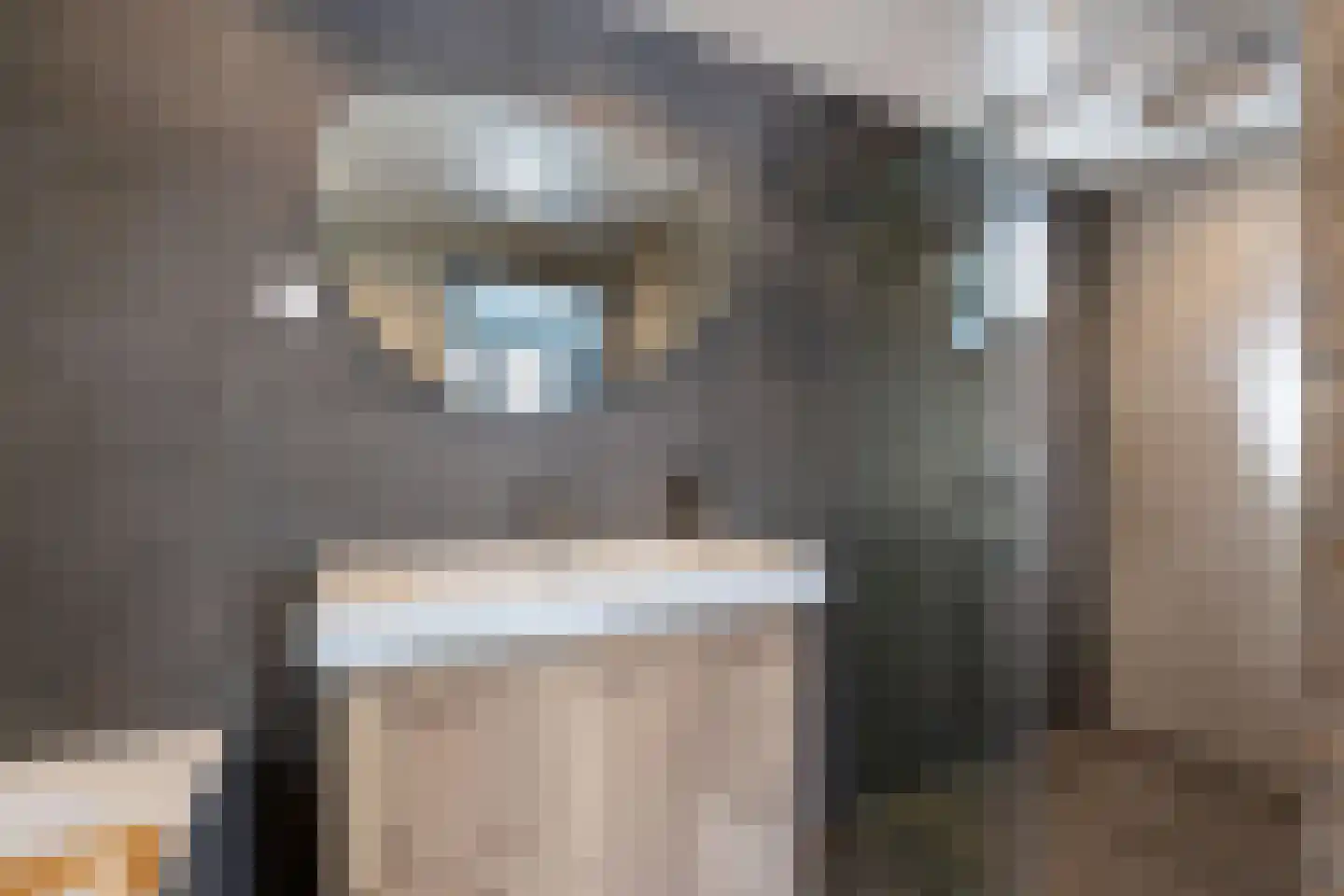 Marktweg 18 Oudeschoot thumbnail 11