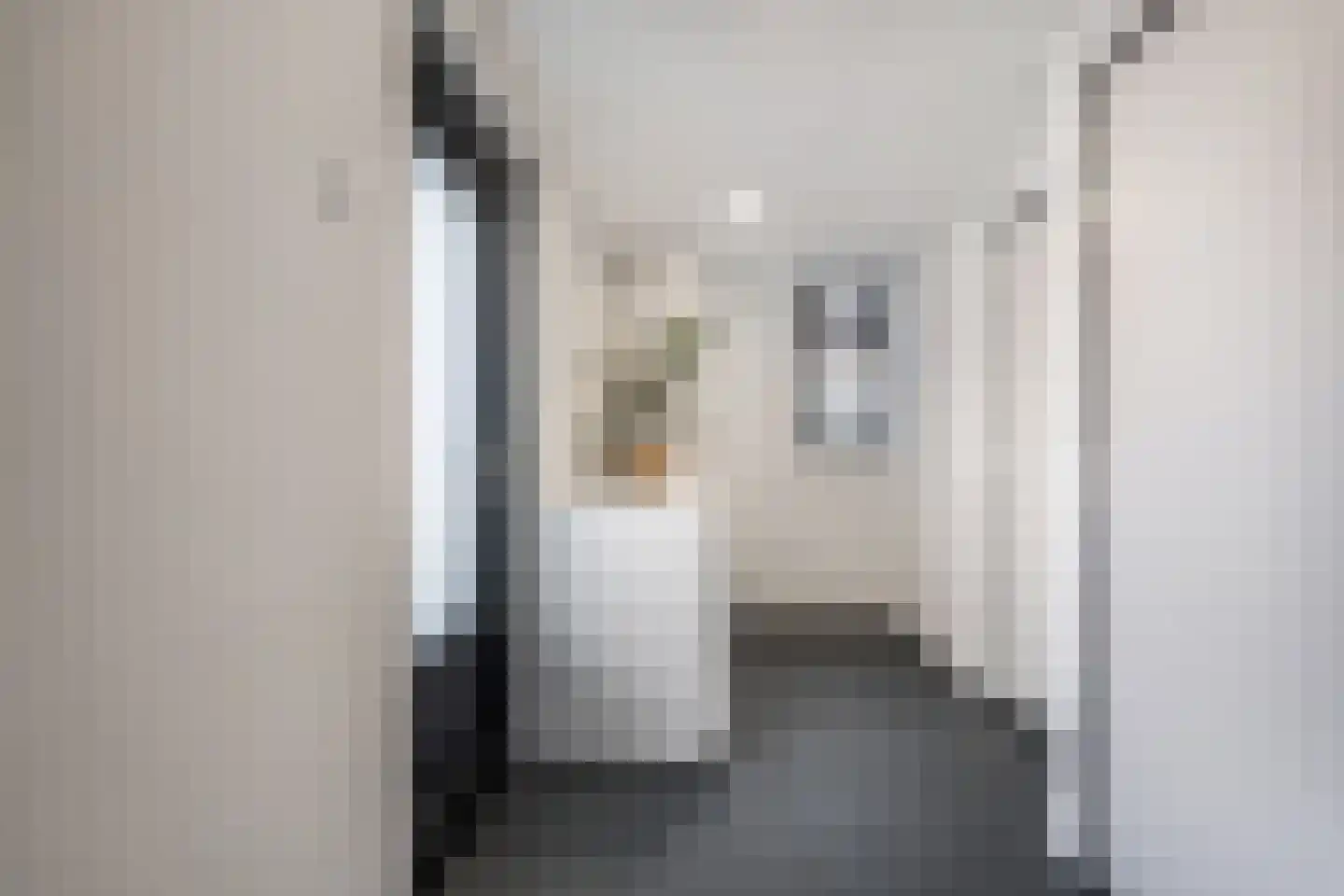 Marktweg 18 Oudeschoot thumbnail 12