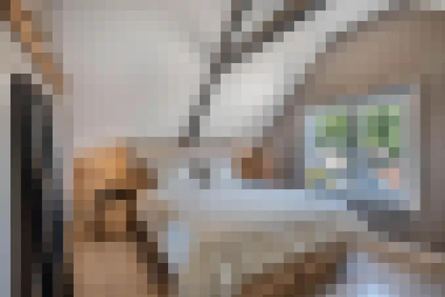 Marktweg 18 Oudeschoot thumbnail 26