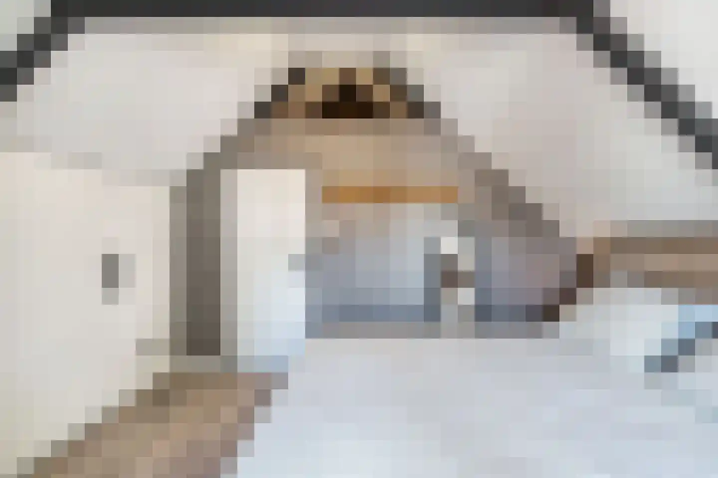 Marktweg 18 Oudeschoot thumbnail 28
