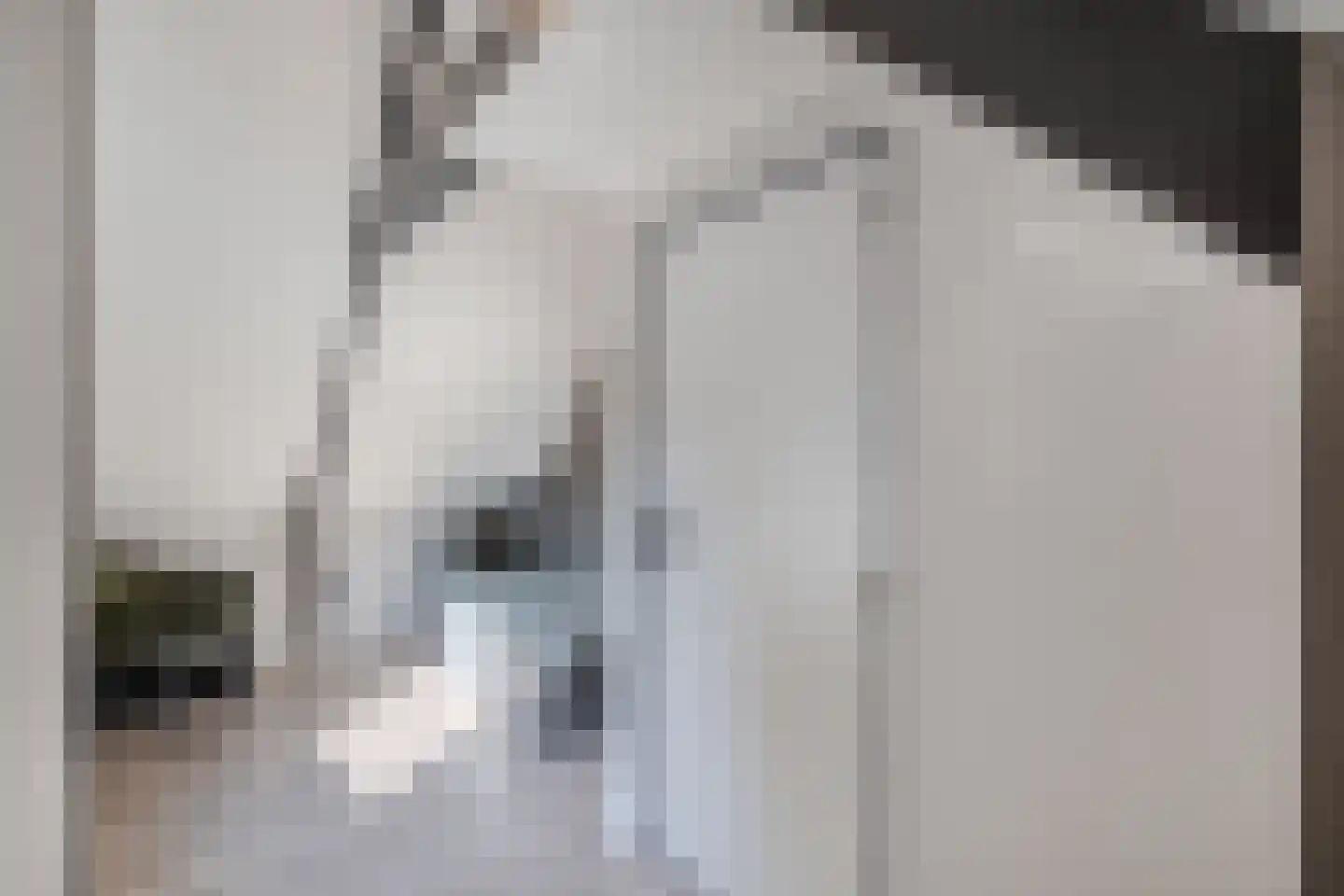 Marktweg 18 Oudeschoot thumbnail 32