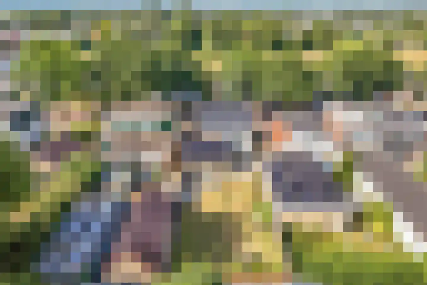Marktweg 18 Oudeschoot thumbnail 46