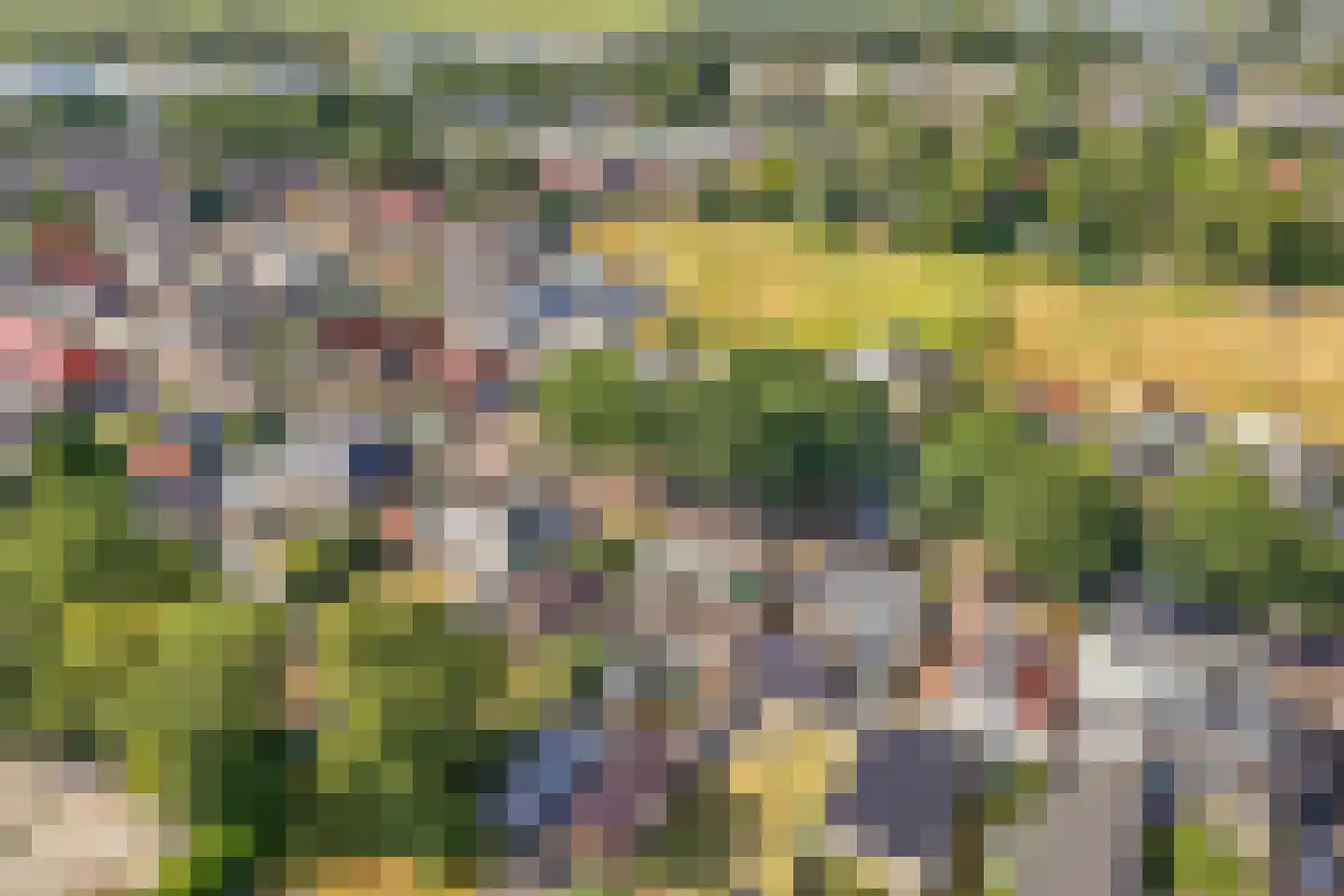 Marktweg 18 Oudeschoot thumbnail 48