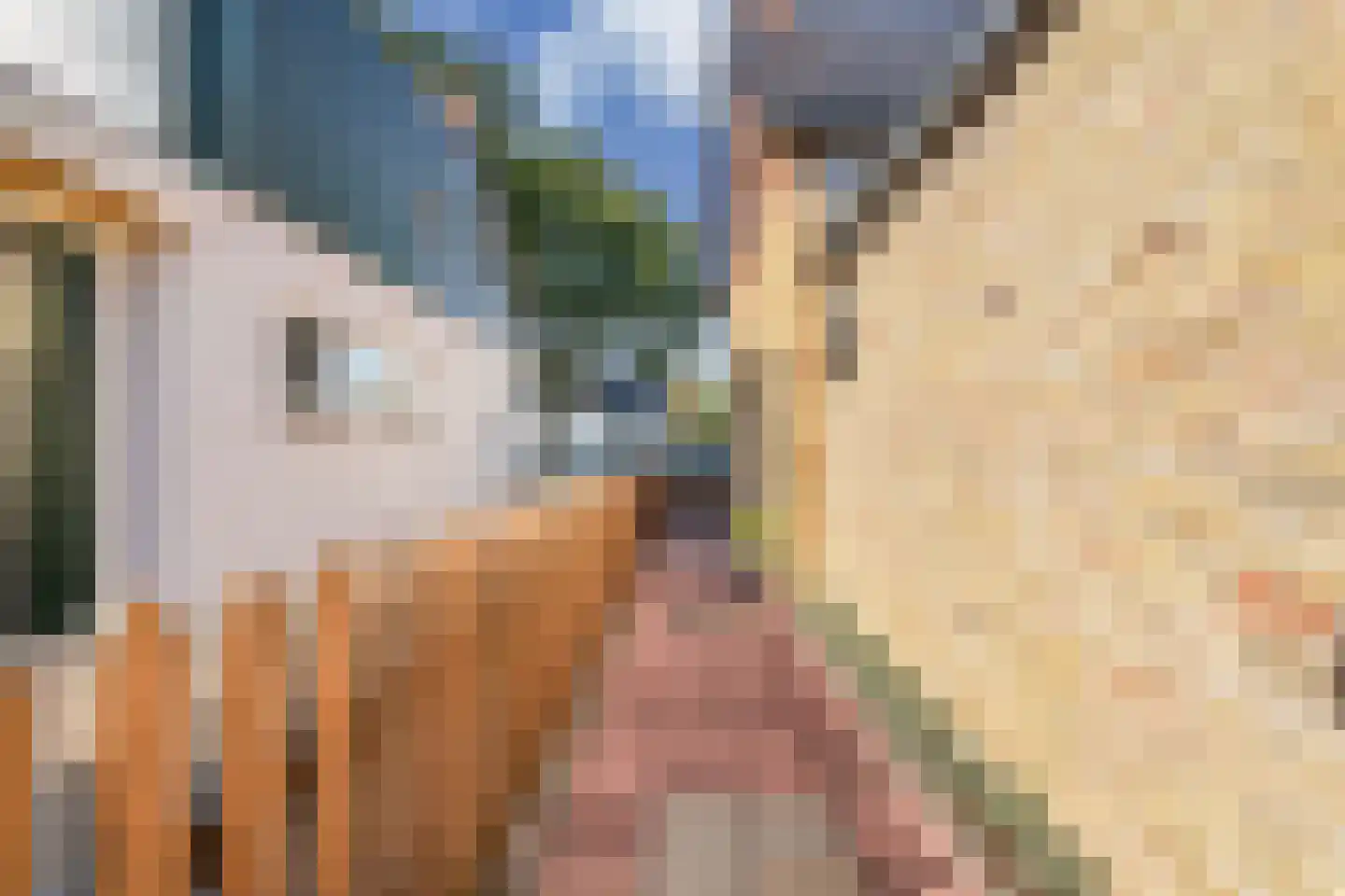 Marktweg 18 Oudeschoot thumbnail 51