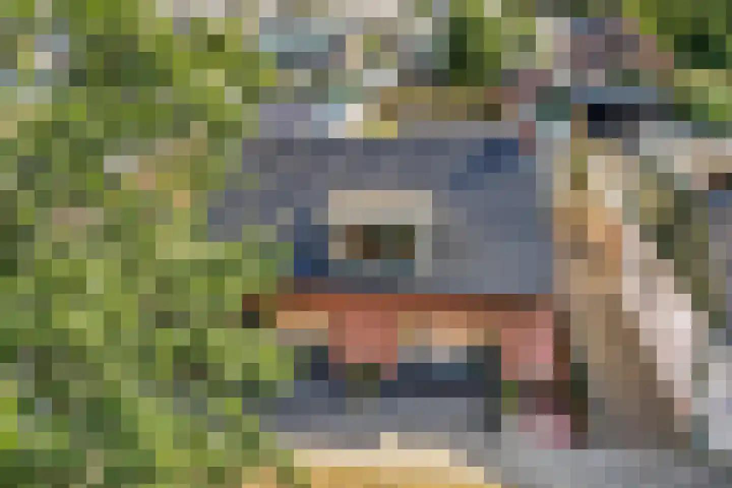 Marktweg 18 Oudeschoot thumbnail 53