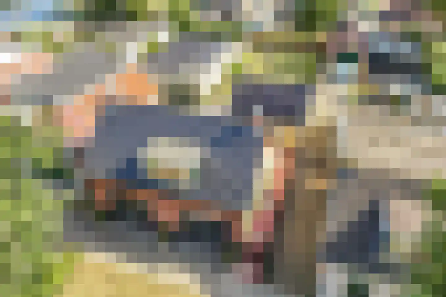 Marktweg 18 Oudeschoot thumbnail 54