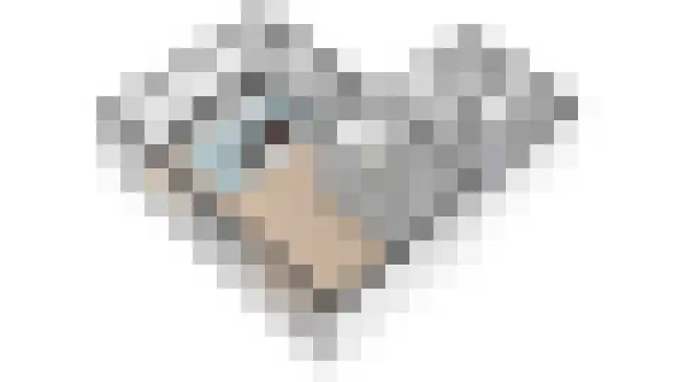 Marktweg 18 Oudeschoot thumbnail 60