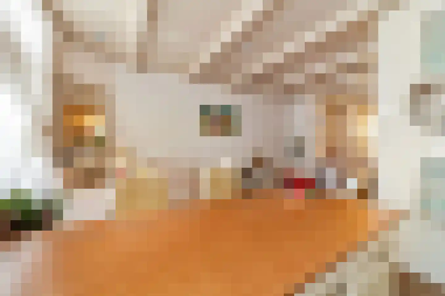 Marktweg 193 Den Haag thumbnail 10