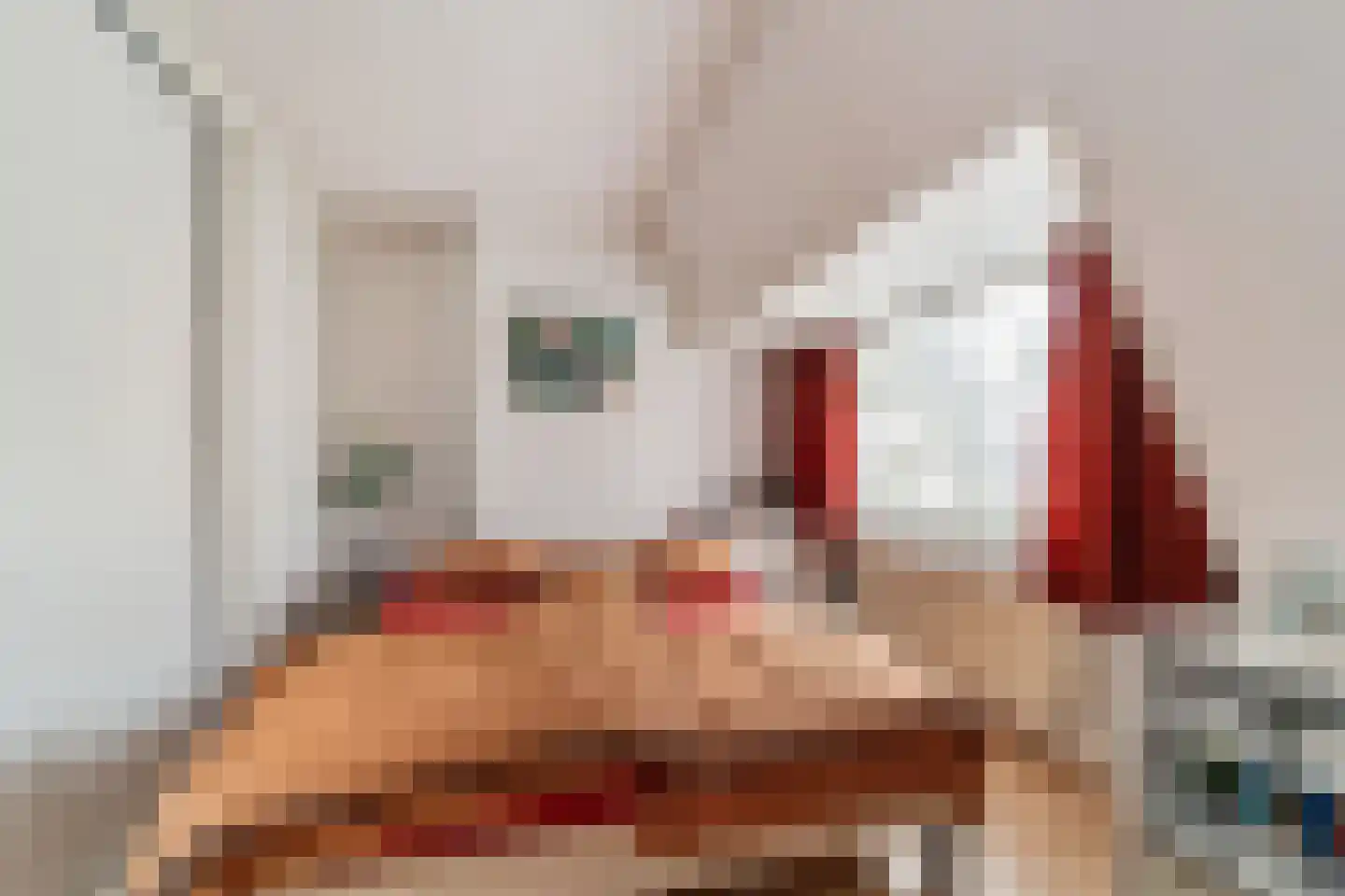 Marktweg 193 Den Haag thumbnail 19