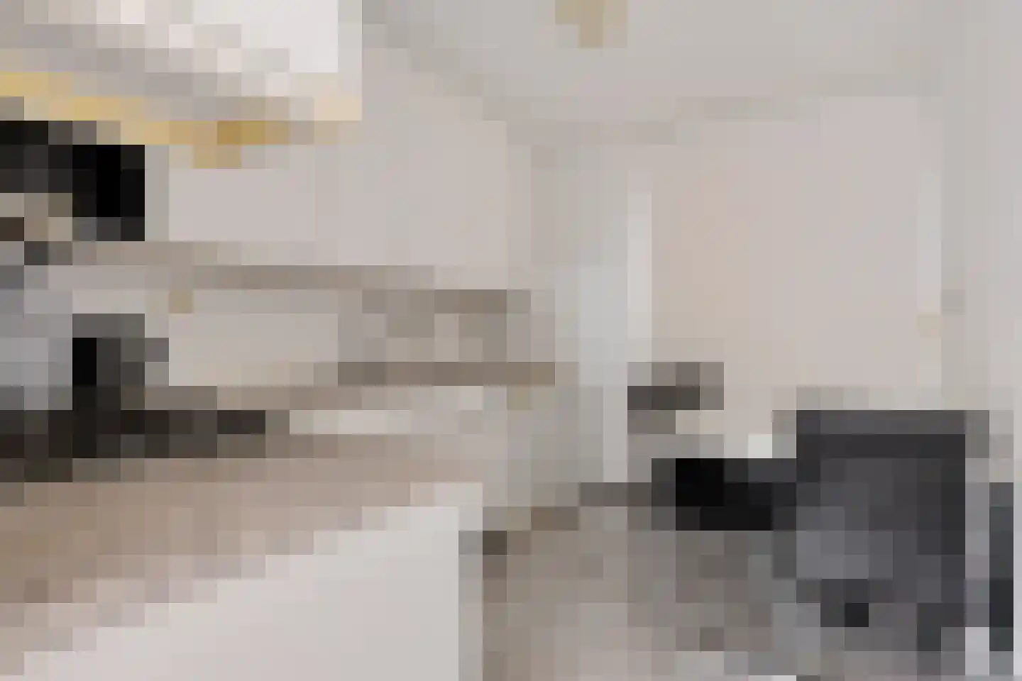 Marktweg 212 C Den Haag thumbnail 18