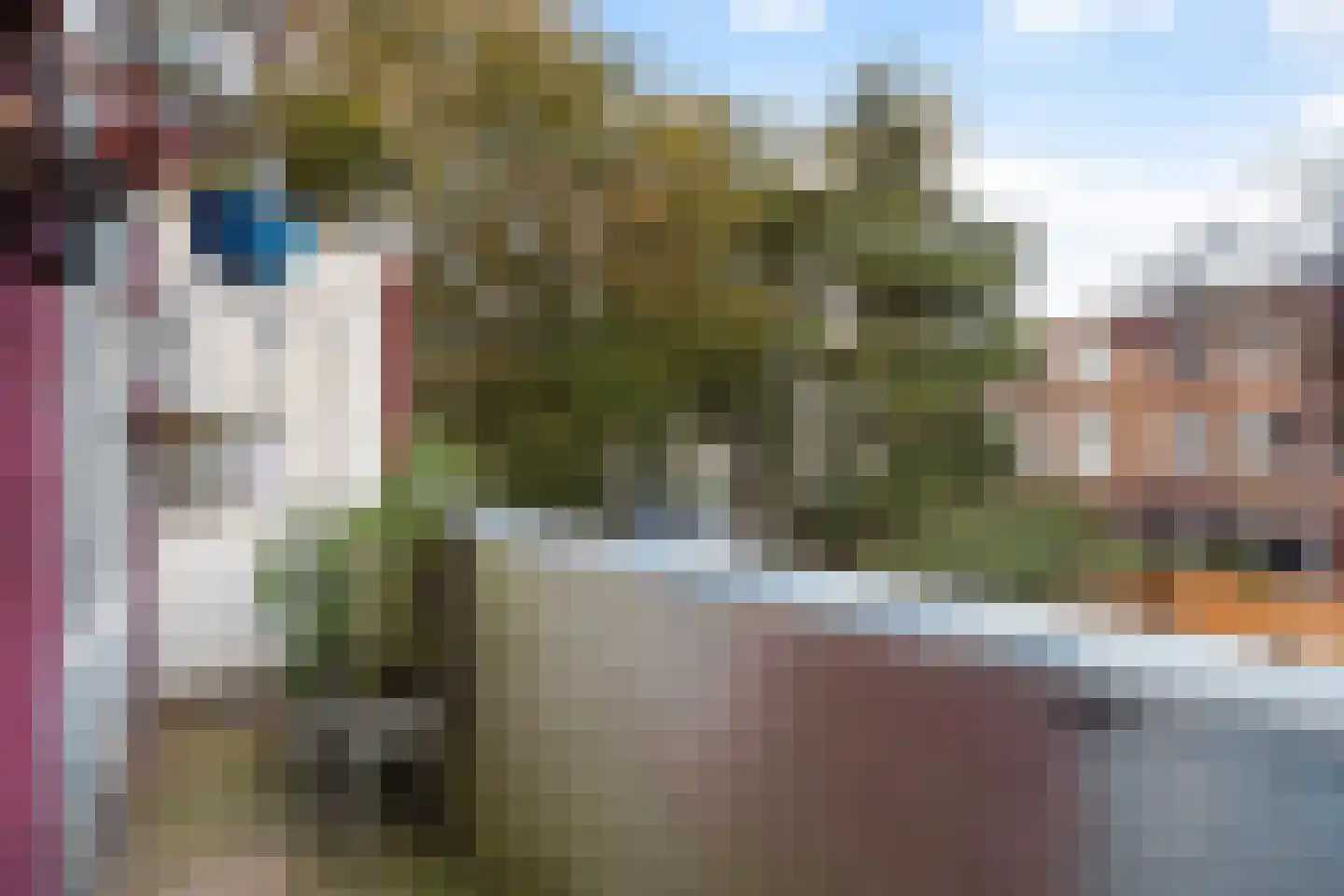 Marktweg 305 Den Haag thumbnail 23