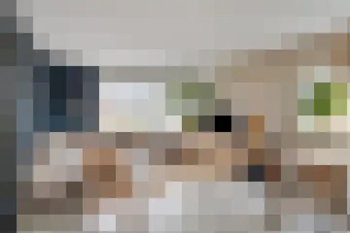 Marktweg 34 Oudeschoot thumbnail 10