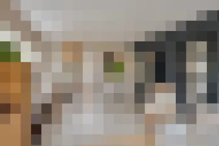 Marktweg 34 Oudeschoot thumbnail 11
