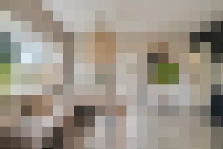 Marktweg 34 Oudeschoot thumbnail 13