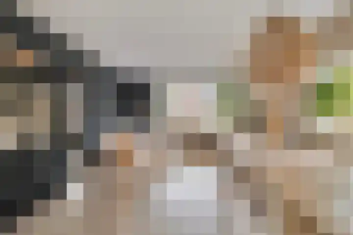 Marktweg 34 Oudeschoot thumbnail 16
