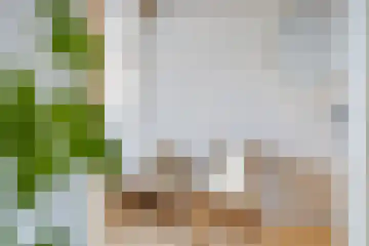 Marktweg 34 Oudeschoot thumbnail 19