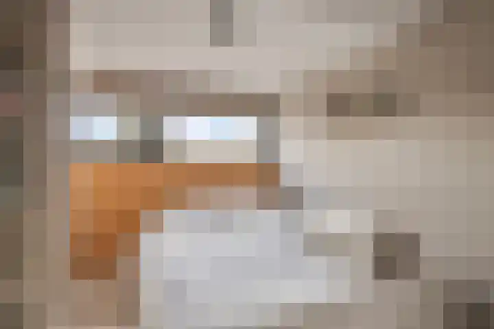 Marktweg 34 Oudeschoot thumbnail 30