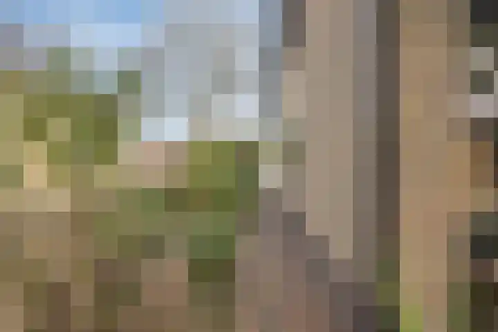 Marktweg 34 Oudeschoot thumbnail 34