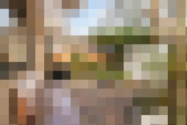 Marktweg 34 Oudeschoot thumbnail 35