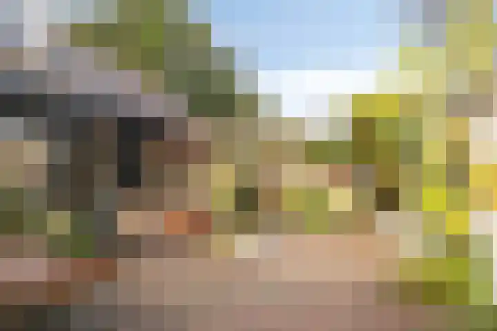 Marktweg 34 Oudeschoot thumbnail 36