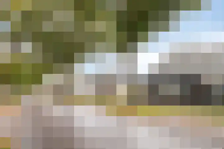 Marktweg 34 Oudeschoot thumbnail 6