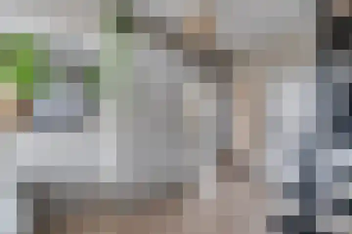 Marktweg 34 Oudeschoot thumbnail 8