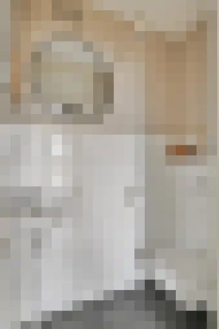 Marktweg 34 Oudeschoot thumbnail 9