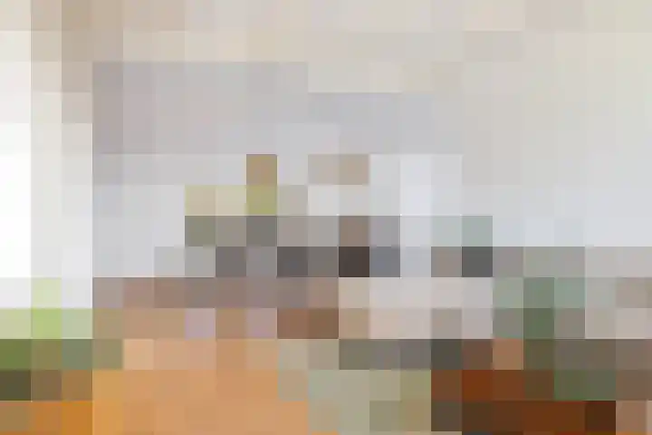 Marktweg 38 Oudeschoot thumbnail 11