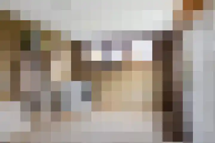 Marktweg 38 Oudeschoot thumbnail 25