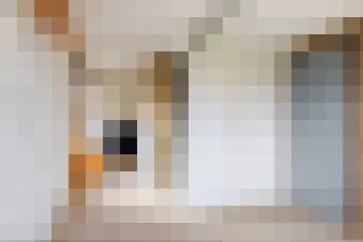 Marktweg 38 Oudeschoot thumbnail 26