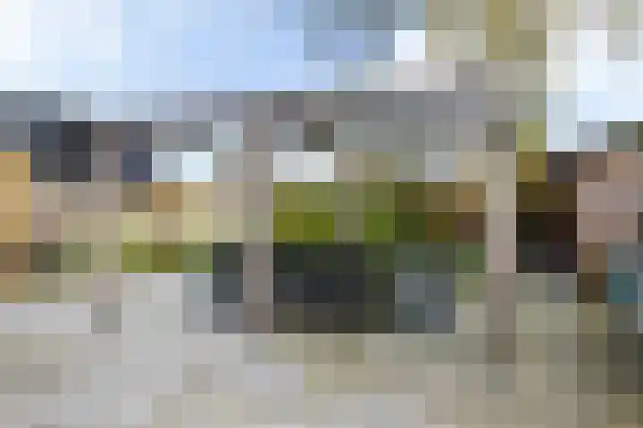 Marktweg 38 Oudeschoot thumbnail 29