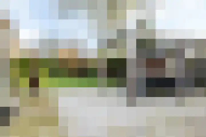 Marktweg 38 Oudeschoot thumbnail 30