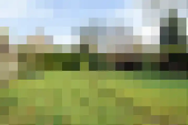 Marktweg 38 Oudeschoot thumbnail 31