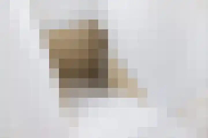 Marktweg 38 Oudeschoot thumbnail 35